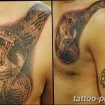 Фото рисунка тату змея 23.11.2018 №318 - snake tattoo photo - tattoo-photo.ru
