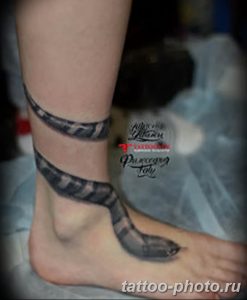 Фото рисунка тату змея 23.11.2018 №320 - snake tattoo photo - tattoo-photo.ru