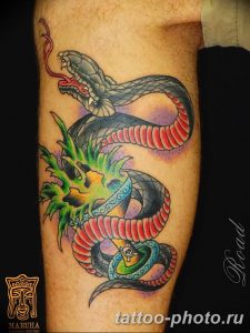 Фото рисунка тату змея 23.11.2018 №323 - snake tattoo photo - tattoo-photo.ru