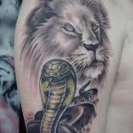 Фото рисунка тату змея 23.11.2018 №324 - snake tattoo photo - tattoo-photo.ru