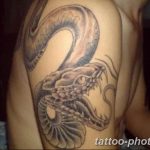Фото рисунка тату змея 23.11.2018 №325 - snake tattoo photo - tattoo-photo.ru