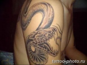 Фото рисунка тату змея 23.11.2018 №325 - snake tattoo photo - tattoo-photo.ru
