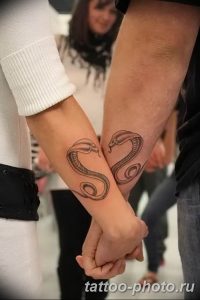 Фото рисунка тату змея 23.11.2018 №327 - snake tattoo photo - tattoo-photo.ru