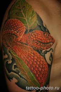 Фото рисунка тату змея 23.11.2018 №329 - snake tattoo photo - tattoo-photo.ru