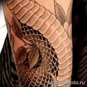 Фото рисунка тату змея 23.11.2018 №330 - snake tattoo photo - tattoo-photo.ru