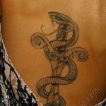 Фото рисунка тату змея 23.11.2018 №331 - snake tattoo photo - tattoo-photo.ru