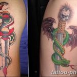 Фото рисунка тату змея 23.11.2018 №333 - snake tattoo photo - tattoo-photo.ru