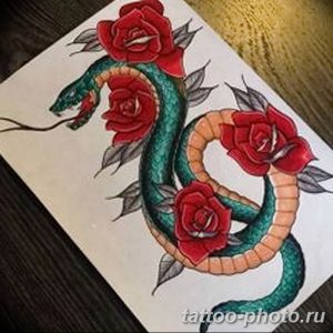 Фото рисунка тату змея 23.11.2018 №337 - snake tattoo photo - tattoo-photo.ru