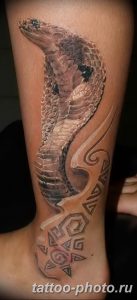 Фото рисунка тату змея 23.11.2018 №340 - snake tattoo photo - tattoo-photo.ru