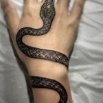 Фото рисунка тату змея 23.11.2018 №344 - snake tattoo photo - tattoo-photo.ru