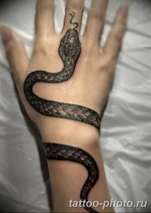 Фото рисунка тату змея 23.11.2018 №344 - snake tattoo photo - tattoo-photo.ru