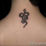 Фото рисунка тату змея 23.11.2018 №347 - snake tattoo photo - tattoo-photo.ru