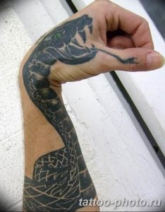 Фото рисунка тату змея 23.11.2018 №348 - snake tattoo photo - tattoo-photo.ru