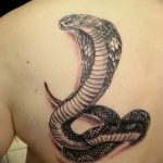 Фото рисунка тату змея 23.11.2018 №352 - snake tattoo photo - tattoo-photo.ru