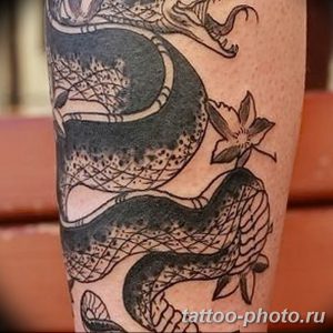 Фото рисунка тату змея 23.11.2018 №353 - snake tattoo photo - tattoo-photo.ru