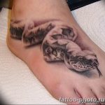 Фото рисунка тату змея 23.11.2018 №354 - snake tattoo photo - tattoo-photo.ru