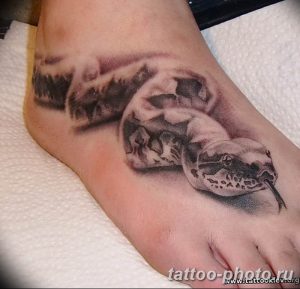 Фото рисунка тату змея 23.11.2018 №354 - snake tattoo photo - tattoo-photo.ru