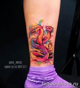 Фото рисунка тату змея 23.11.2018 №356 - snake tattoo photo - tattoo-photo.ru