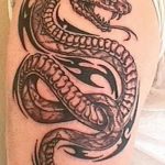 Фото рисунка тату змея 23.11.2018 №357 - snake tattoo photo - tattoo-photo.ru