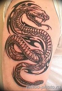 Фото рисунка тату змея 23.11.2018 №357 - snake tattoo photo - tattoo-photo.ru