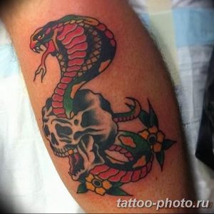 Фото рисунка тату змея 23.11.2018 №365 - snake tattoo photo - tattoo-photo.ru