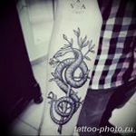 Фото рисунка тату змея 23.11.2018 №367 - snake tattoo photo - tattoo-photo.ru