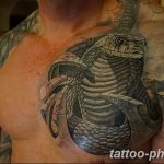 Фото рисунка тату змея 23.11.2018 №368 - snake tattoo photo - tattoo-photo.ru