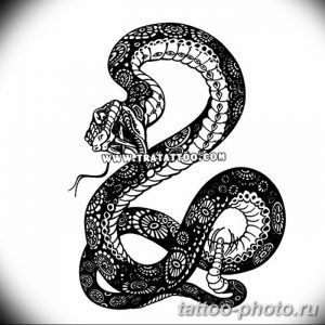 Фото рисунка тату змея 23.11.2018 №373 - snake tattoo photo - tattoo-photo.ru