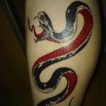 Фото рисунка тату змея 23.11.2018 №374 - snake tattoo photo - tattoo-photo.ru