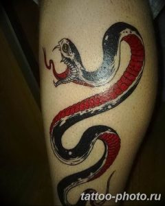 Фото рисунка тату змея 23.11.2018 №374 - snake tattoo photo - tattoo-photo.ru