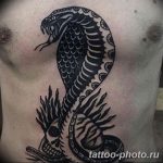 Фото рисунка тату змея 23.11.2018 №380 - snake tattoo photo - tattoo-photo.ru