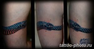 Фото рисунка тату змея 23.11.2018 №382 - snake tattoo photo - tattoo-photo.ru