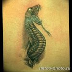 Фото рисунка тату змея 23.11.2018 №384 - snake tattoo photo - tattoo-photo.ru