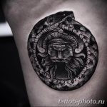 Фото рисунка тату змея 23.11.2018 №385 - snake tattoo photo - tattoo-photo.ru