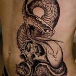 Фото рисунка тату змея 23.11.2018 №387 - snake tattoo photo - tattoo-photo.ru