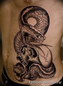 Фото рисунка тату змея 23.11.2018 №387 - snake tattoo photo - tattoo-photo.ru