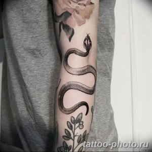 Фото рисунка тату змея 23.11.2018 №389 - snake tattoo photo - tattoo-photo.ru
