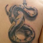 Фото рисунка тату змея 23.11.2018 №391 - snake tattoo photo - tattoo-photo.ru