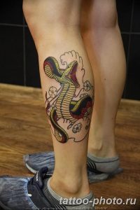 Фото рисунка тату змея 23.11.2018 №398 - snake tattoo photo - tattoo-photo.ru