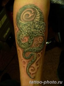 Фото рисунка тату змея 23.11.2018 №400 - snake tattoo photo - tattoo-photo.ru