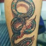 Фото рисунка тату змея 23.11.2018 №402 - snake tattoo photo - tattoo-photo.ru