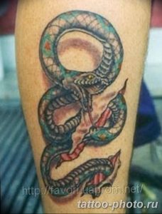 Фото рисунка тату змея 23.11.2018 №402 - snake tattoo photo - tattoo-photo.ru