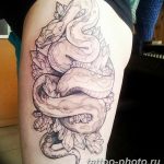 Фото рисунка тату змея 23.11.2018 №403 - snake tattoo photo - tattoo-photo.ru