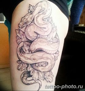 Фото рисунка тату змея 23.11.2018 №403 - snake tattoo photo - tattoo-photo.ru