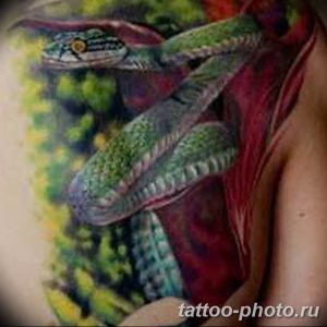 Фото рисунка тату змея 23.11.2018 №404 - snake tattoo photo - tattoo-photo.ru