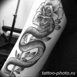 Фото рисунка тату змея 23.11.2018 №407 - snake tattoo photo - tattoo-photo.ru