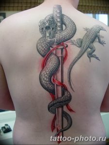 Фото рисунка тату змея 23.11.2018 №410 - snake tattoo photo - tattoo-photo.ru