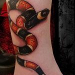 Фото рисунка тату змея 23.11.2018 №411 - snake tattoo photo - tattoo-photo.ru