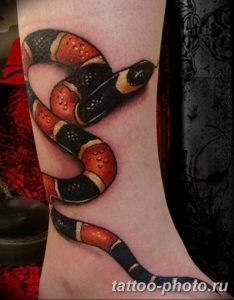 Фото рисунка тату змея 23.11.2018 №411 - snake tattoo photo - tattoo-photo.ru