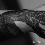 Фото рисунка тату змея 23.11.2018 №413 - snake tattoo photo - tattoo-photo.ru